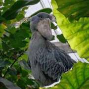 ヒメ日記 2025/10/25 19:16 投稿 ちえり AVANCE福岡