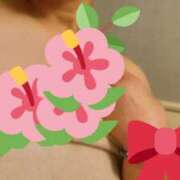 ヒメ日記 2026/04/15 10:00 投稿 なつき 熟女ばかり