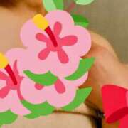ヒメ日記 2026/05/08 10:00 投稿 なつき 熟女ばかり