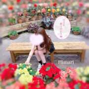 ヒメ日記 2025/09/11 12:03 投稿 ひまり LEVEL1