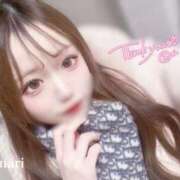 ヒメ日記 2025/12/16 23:11 投稿 ひまり LEVEL1