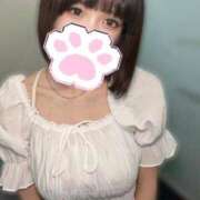 ヒメ日記 2025/06/09 03:19 投稿 りか デザインプリズム新宿