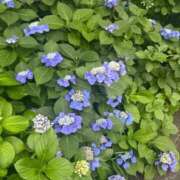 ヒメ日記 2025/06/13 21:04 投稿 りか デザインプリズム新宿