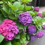 ヒメ日記 2025/06/21 01:19 投稿 りか デザインプリズム新宿