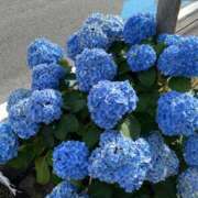 ヒメ日記 2025/06/30 17:59 投稿 りか デザインプリズム新宿