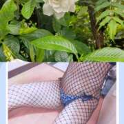 ヒメ日記 2025/06/14 12:22 投稿 本田しほり 五十路マダム東広島店(カサブランカグループ)