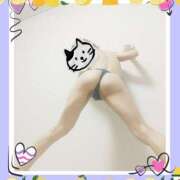 ヒメ日記 2025/08/16 19:00 投稿 本田しほり 五十路マダム東広島店(カサブランカグループ)