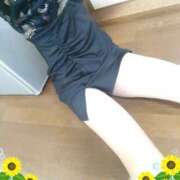 ヒメ日記 2025/08/17 12:42 投稿 本田しほり 五十路マダム東広島店(カサブランカグループ)