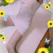 ヒメ日記 2025/08/18 13:16 投稿 本田しほり 五十路マダム東広島店(カサブランカグループ)