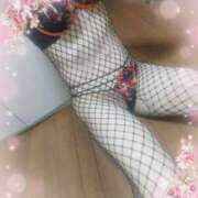 ヒメ日記 2025/09/16 11:04 投稿 本田しほり 五十路マダム東広島店(カサブランカグループ)