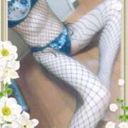 ヒメ日記 2025/10/24 11:28 投稿 本田しほり 五十路マダム東広島店(カサブランカグループ)