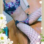 ヒメ日記 2025/12/13 14:54 投稿 本田しほり 五十路マダム東広島店(カサブランカグループ)