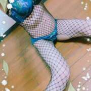 ヒメ日記 2026/02/23 12:56 投稿 本田しほり 五十路マダム東広島店(カサブランカグループ)