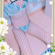 ヒメ日記 2026/02/23 17:00 投稿 本田しほり 五十路マダム東広島店(カサブランカグループ)