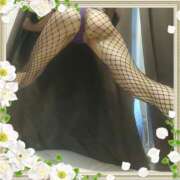 ヒメ日記 2026/04/14 13:30 投稿 本田しほり 五十路マダム東広島店(カサブランカグループ)