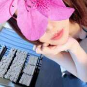 ヒメ日記 2025/12/10 19:02 投稿 松本いおり ダリア