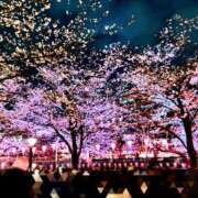 ヒメ日記 2026/04/01 19:01 投稿 松本いおり ダリア