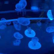 ヒメ日記 2025/05/25 16:05 投稿 ふたば S級しろうと娘