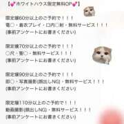 ヒメ日記 2025/08/24 11:53 投稿 ひな ホワイトハウス