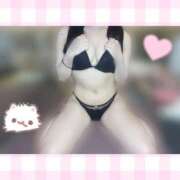 ヒメ日記 2025/08/24 15:19 投稿 ひな ホワイトハウス