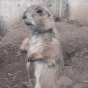 ヒメ日記 2025/07/15 20:05 投稿 せな TSUBAKI(つばき)土浦店