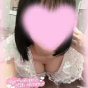 ヒメ日記 2025/06/11 05:42 投稿 うさ The White