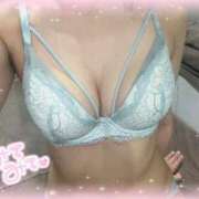 ヒメ日記 2025/06/14 10:11 投稿 うさ The White