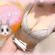 ヒメ日記 2025/06/26 10:01 投稿 うさ The White