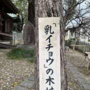 ヒメ日記 2026/02/09 21:39 投稿 かえで G-STAGE