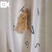 ヒメ日記 2025/07/16 22:05 投稿 四葉るん（よつば るん） 桃色奥様(佐賀)