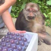 ヒメ日記 2025/07/28 22:35 投稿 あかり ラブ・アンド・ラブ