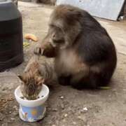 ヒメ日記 2025/08/01 00:35 投稿 あかり ラブ・アンド・ラブ