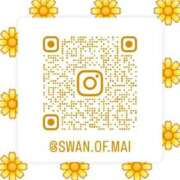 ヒメ日記 2026/01/22 12:30 投稿 白鳥まい 東京シーメール倶楽部　新宿店