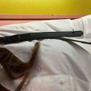 ヒメ日記 2025/05/29 23:29 投稿 はとり みつばちマーヤZ