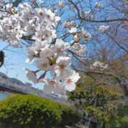 ヒメ日記 2025/05/21 16:31 投稿 こと 三重四日市ちゃんこ