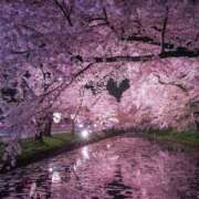 こと お疲れ様です。 三重四日市ちゃんこ