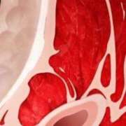 ヒメ日記 2025/06/24 07:33 投稿 むぎ スーパークリスタル