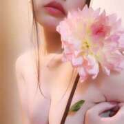 ヒメ日記 2025/06/18 18:20 投稿 中畑 新宿人妻城