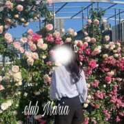 ヒメ日記 2026/05/26 08:09 投稿 冬華【フユカ】 club MARIA(大阪)