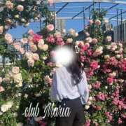 ヒメ日記 2026/05/26 12:35 投稿 冬華【フユカ】 club MARIA(大阪)
