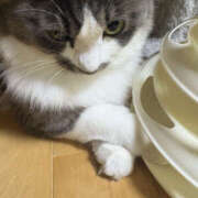 ヒメ日記 2025/09/13 13:47 投稿 まりん 彼女の部屋本店