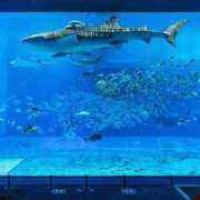 ヒメ日記 2025/08/27 13:37 投稿 ねね あふたーすくーる本店