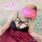 ヒメ日記 2025/06/03 12:31 投稿 一条（いちじょう） 丸妻 錦糸町店