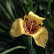 ヒメ日記 2025/10/27 20:24 投稿 一条（いちじょう） 丸妻 錦糸町店