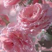 ヒメ日記 2025/05/23 02:09 投稿 五條 紗耶 ELEGANCE