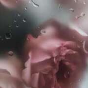 ヒメ日記 2025/05/27 11:49 投稿 五條 紗耶 ELEGANCE