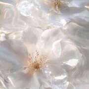 ヒメ日記 2025/06/02 10:49 投稿 五條 紗耶 ELEGANCE