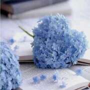 ヒメ日記 2025/06/24 09:49 投稿 五條 紗耶 ELEGANCE