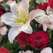 ヒメ日記 2025/07/03 08:09 投稿 五條 紗耶 ELEGANCE