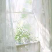 五條 紗耶 お久しぶりです🍉 ELEGANCE